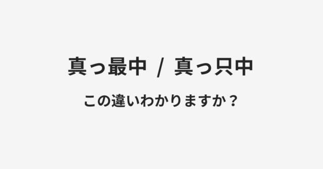 真っ最中と真っ只中の違い