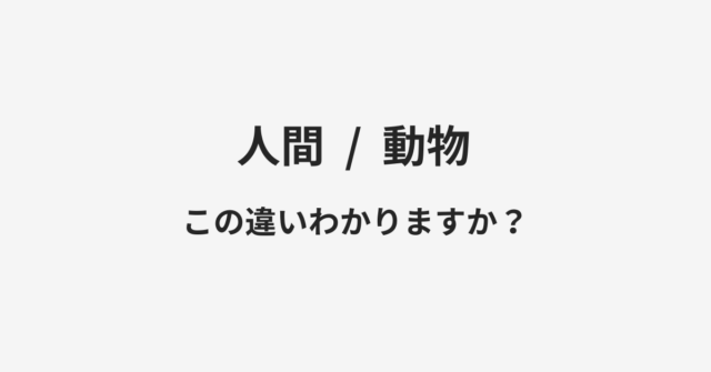 人間と動物の違い