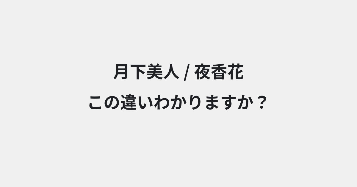 【月下美人】と【夜香花】の違いとは？例文付きで使い方や意味をわかりやすく解説 | イメージ画像